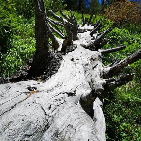 Daire Haus Guglprasta