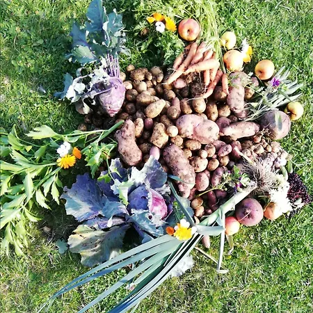 Daire Haus Guglprasta